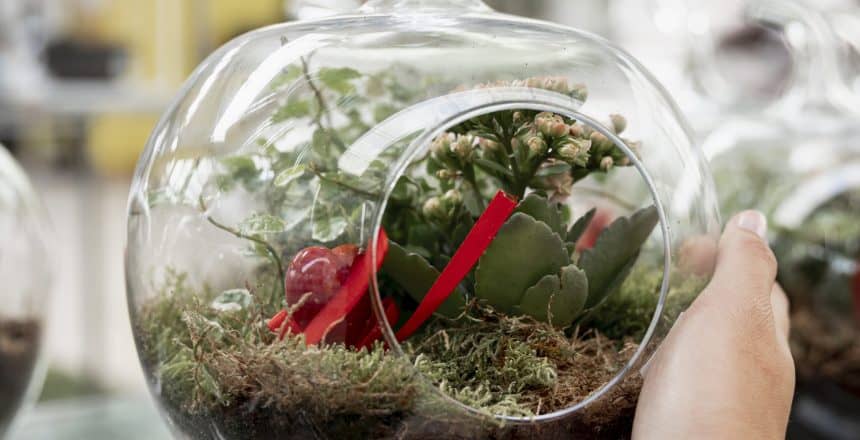 close-up-florist-with-transparent-globe-shaped-vase