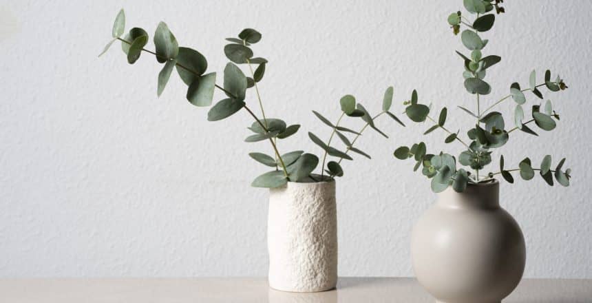 eucalyptus-white-vase-table-background