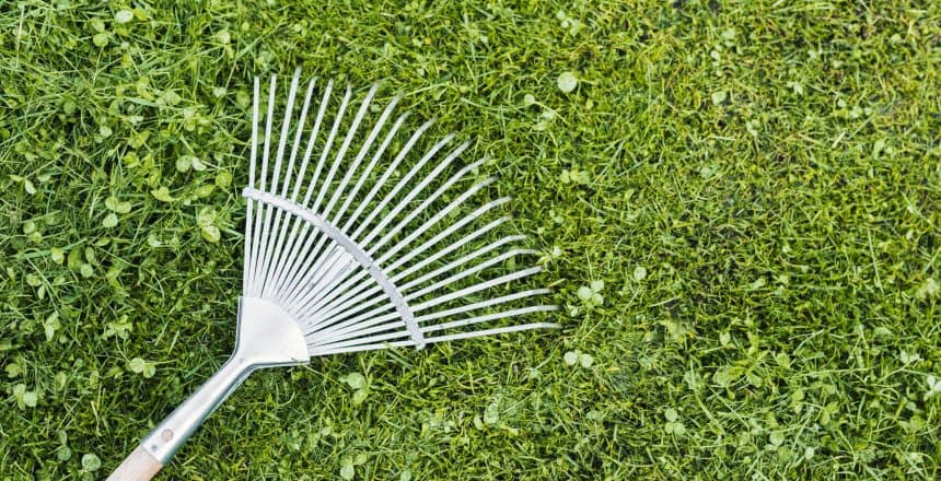 top-view-rake-grass